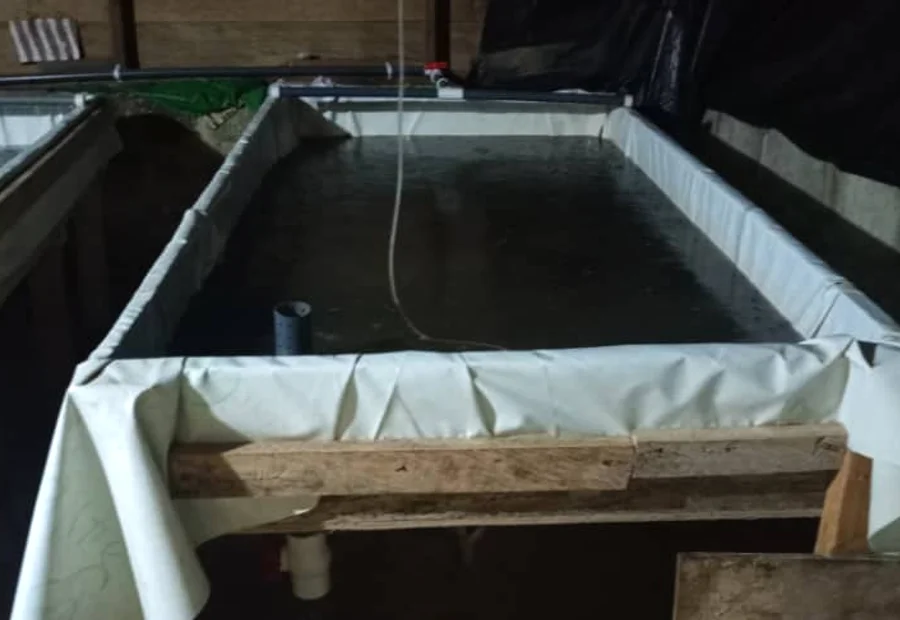 Grow-out Ponds